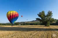 ballons_todi 138 july 19 2014